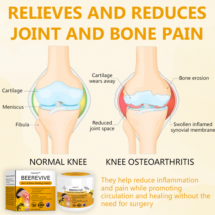 Ceoerty™ BeeRevive Joint & Bone Healing Cream （A）