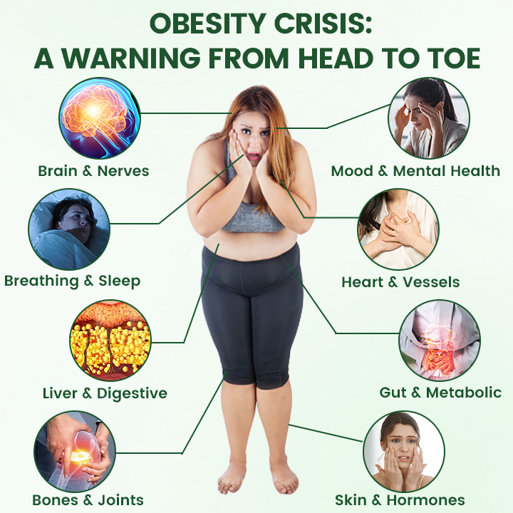 𝑶𝒇𝒇𝒊𝒄𝒊𝒂𝒍 𝑺𝒕𝒐𝒓𝒆  | ☀️☀️𝑻𝒊𝒎𝒊𝒍𝒌® 𝑴𝒐𝒓𝒊𝒏𝒈𝒂 · 𝑩𝒆𝒓𝒃𝒆𝒓𝒊𝒏𝒆 + 𝑵𝑨𝑫+ 10-𝒊𝒏-1 𝑵𝒂𝒏𝒐 𝑴𝒊𝒄𝒓𝒐𝒏𝒆𝒆𝒅𝒍𝒆 𝑷𝒂𝒕𝒄𝒉(𝐉𝐮𝐬𝐭 𝐨𝐧𝐜𝐞 𝐚 𝐝𝐚𝐲, 𝐯𝐢𝐬𝐢𝐛𝐥𝐞 𝐜𝐡𝐚𝐧𝐠𝐞𝐬 𝐢𝐧 𝟕 𝐝𝐚𝐲𝐬）