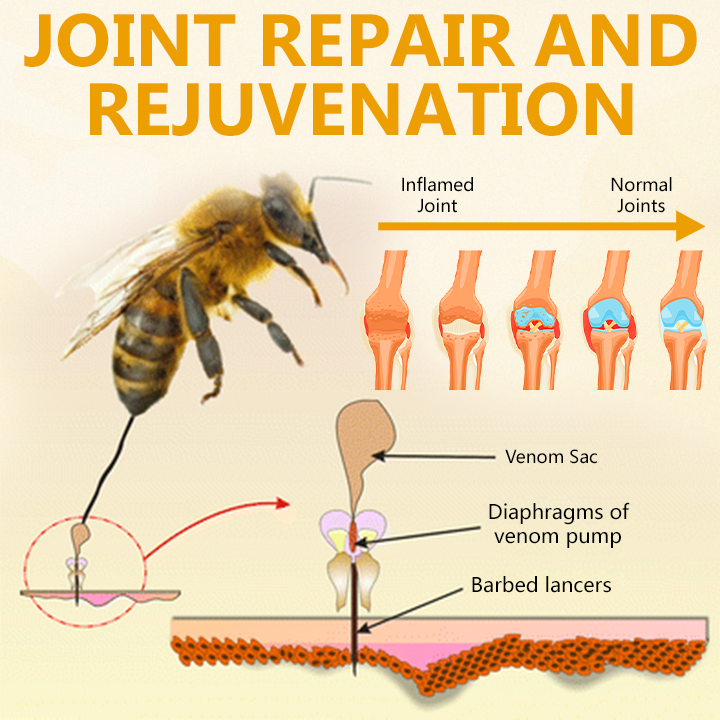 Ceoerty™ BeeRevive Joint & Bone Healing Cream （A）